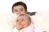 _mg_1806_small.jpg