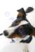 _mg_3368_small.jpg