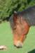 img_4364_small.jpg