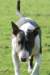 img_4498edit_small.jpg