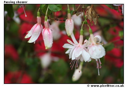 Passing Shower