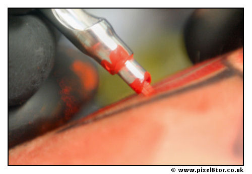 Tats, Ink & Ironworks
