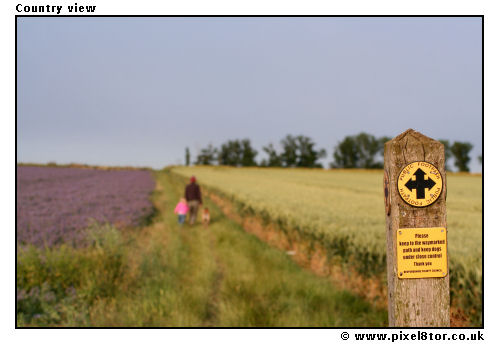 Country view