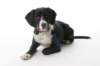 _mg_8010e_small.jpg