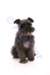 _mg_4908_small.jpg