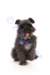 _mg_4909_small.jpg