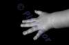 _mg_1581_small.jpg